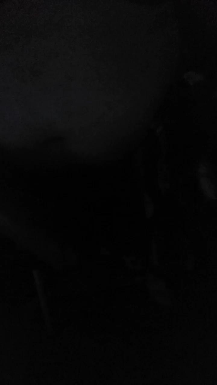 Leocesar37 Photos on InfiCams